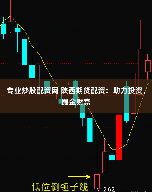 专业炒股配资网 陕西期货配资：助力投资，掘金财富